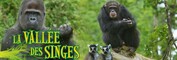 The Vallée des Singes/Emmanuel Le Grelle/Frances Bourne