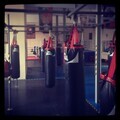 main gym