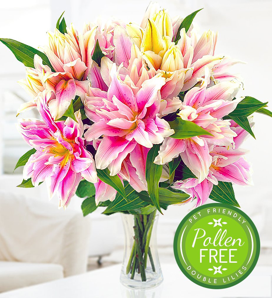 Prestige Flowers First to Sell Extraordinary DoubleFlowering 'Roselily
